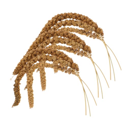 Kisangel 1 Satz Natürlichem Papageienfutter Trockengetreide für Nymphensittiche Wellensittiche und Andere Vögel Gesund und Appetitanregend Praktische Aufbewahrung Kisangel 1 Satz Natürlichem Papageienfutter Trockengetreide für Nymphensittiche Wellensittiche und Andere Vögel Gesund und Appetitanregend Praktische Aufbewahrung von Kisangel