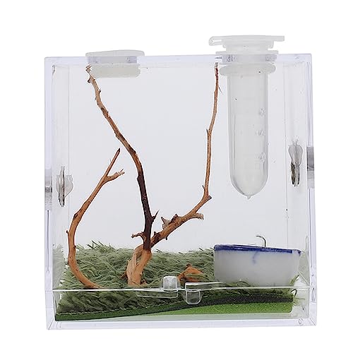 Kisangel 1 Satz Springspinnen-Zuchtbox reptichip Spinnen Terrarien Terrarienkäfig für Reptilien Mini-Luftbefeuchter Inkubator insektenhäuser Mini Terrarium Insektenträger Spinnenhaus Acryl von Kisangel