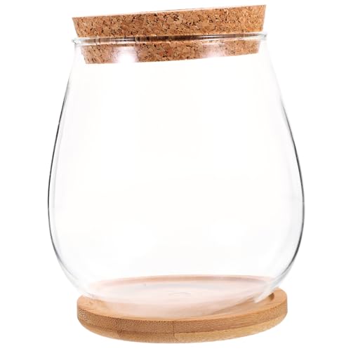 Kisangel 1 Set Hydrokultur Glasvase Pflanzenkarte Sprühflasche Gießkannen Sets Topf Bidet Sprühgerät Bewässerungsvasen Terrarium Künstliche Blumen Deckel Vase Öl von Kisangel