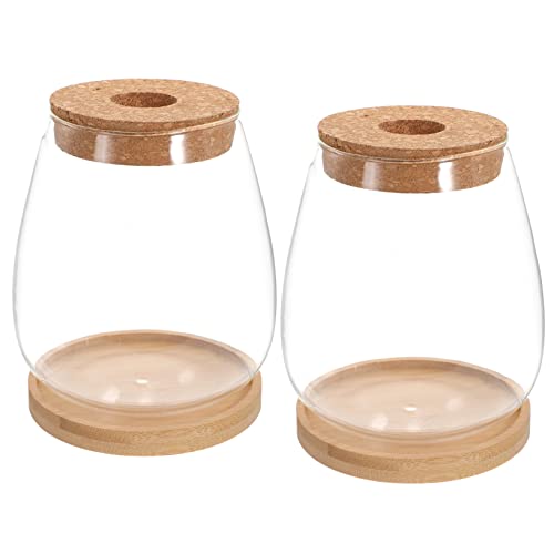 Kisangel 1 Set Micro Landschaft Terrarium Vasen Pflanze Dekoration Topf Landschaft Behälter Mikro Landschaftsbau Behälter Mikro Landschaft DIY Flasche Dekorative Flasche Glas von Kisangel