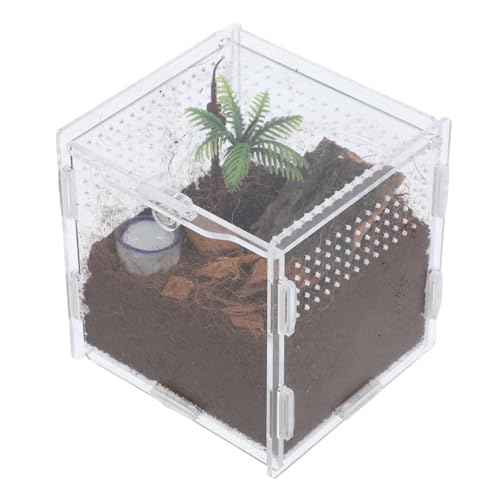 Kisangel Elegante Acryl Spinne Terrarium Springen Spinne Käfig Einfache Reinigung Beobachtung Lebensräume für von Kisangel