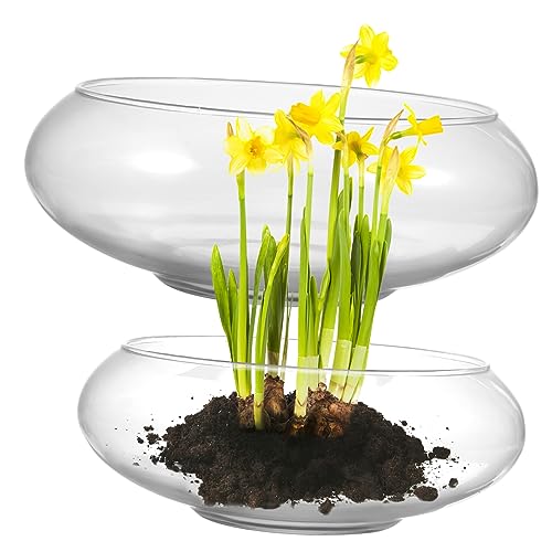 Kisangel 2 STK Narzissenbecken zimmerpflanzen raumdeko glasvase Set vases Dekoratives Terrarium Terrarienpflanzen Schale Pflanzer Vasen schwimmender Pflanzentopf Fischglasvase aus Glas von Kisangel