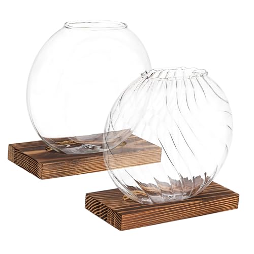 Kisangel 2 STK kreative Vase Vermehrungsvasen für Pflanzen hydroponisches Pflanzenterrarium Hydrokultur-Töpfe Transparente Glasvase Terrarium Glasvase dekorative Blumenvase Terrarienglas von Kisangel