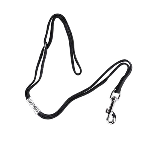 Kisangel 2 Stück Teiliges Hunde Grooming Haltesystem mit Robustem Rundverschluss Verstellbare Hundepflege Hundeleine und Stabiler Aufhängevorrichtung für Sicheres Fixieren Kisangel 2 Stück Teiliges Hunde Grooming Haltesystem mit Robustem Rundverschluss Verstellbare Hundepflege Hundeleine und Stabiler Aufhängevorrichtung für Sicheres Fixieren von Kisangel