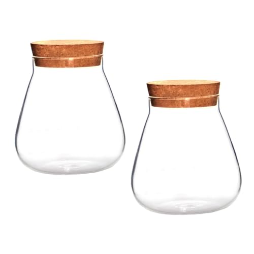 Kisangel 6 STK Flasche Aus Korkglas Krug Mikro-landschaftsvase Kleines Terrarium Terrarien-hydrokulturpflanzer Pflanzennährflasche Ökologische Aquarienflasche Vermehrungsvase Brown Holz von Kisangel