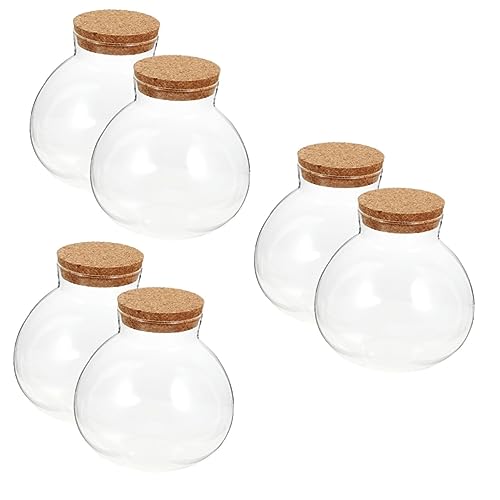 Kisangel 6 STK Ökologische Mikrolandschaftsflasche Keksdose Mit Korken Tischdekoration Schneekugel-kit Versiegelter Behälter Runder Küchentisch Klarer Blumentopf Glas Klein Kunsthandwerk von Kisangel