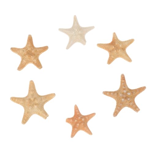 Kisangel 6 Stück Teiliges Natürliche Seesterne DIY Schmuckanhänger für Aquarien Dekoration Handwerk Ornament Tropisches Meeresdekor Geschenkidee Zufällige Farbe Zufällige Farbe Kisangel 6 Stück Teiliges Natürliche Seesterne DIY Schmuckanhänger für Aquarien Dekoration Handwerk Ornament Tropisches Meeresdekor Geschenkidee Zufällige Farbe Zufällige Farbe von Kisangel