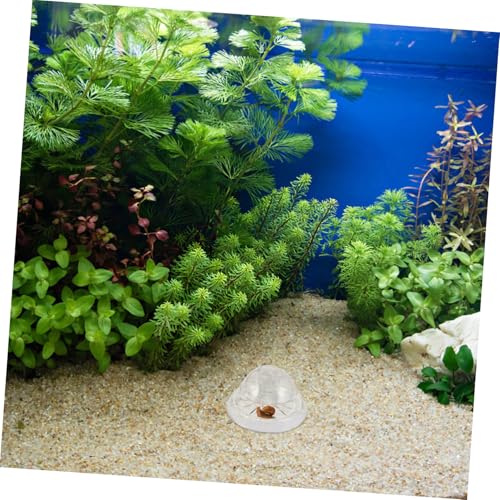 Kisangel Aquarium Schneckenfalle Kunststoff Langlebig Automatische Schneckenfänger Falle für Süßwasser Aquarien mit Einfachem Aufbau und Zuverlässiger Anwendung Kisangel Aquarium Schneckenfalle Kunststoff Langlebig Automatische Schneckenfänger Falle für Süßwasser Aquarien mit Einfachem Aufbau und Zuverlässiger Anwendung von Kisangel