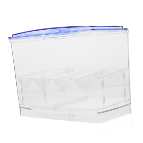 Kisangel Box Für Aquarien Brutkasten Für Aquarien Transportbehälter Für Fische Kiste Für Fische Separator Für Aquarien Zubehör Für Aquarien Organizer Trennwand Für Aquarien von Kisangel