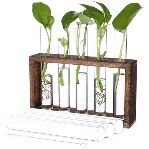 Kisangel Container bürodeko büro Dekoration blumenregal stieltopf verandina Reagenzglas-Pflanzenhalter Makramee Vase Links Tischterrarium Pflanzenterrarium Glas mit hohem Borosilikatgehalt von Kisangel