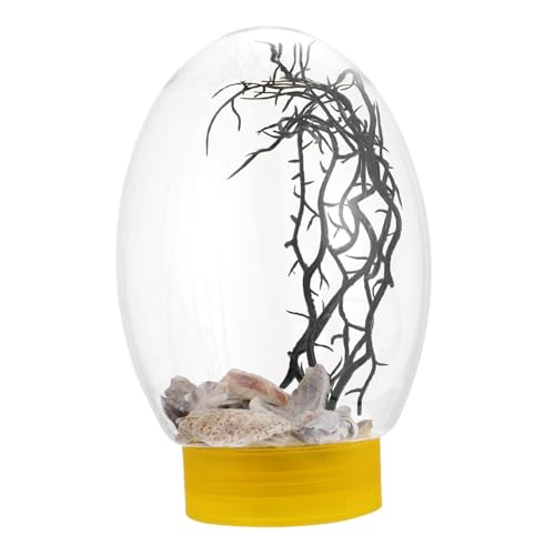 Kisangel Desktop Aquarium Avocado Heizung Aquarium Pinzette Starter Mini Ecosphere Tank Kleine Flasche Mehrere Garnelen Aquarium Automatischer Betta Fischfutterautomat von Kisangel