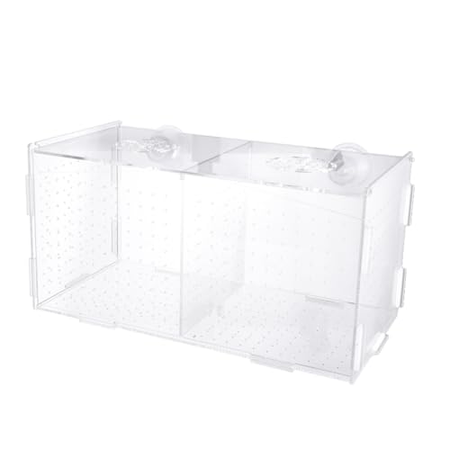 Kisangel Fisch Tank Isolationsbox Für Zucht Und Aufzucht Multifunktionale Aquarium Brutbox Mit Saugnapfmuster Ideal Für Fische Und Garnelen Inkl Trennwand von Kisangel