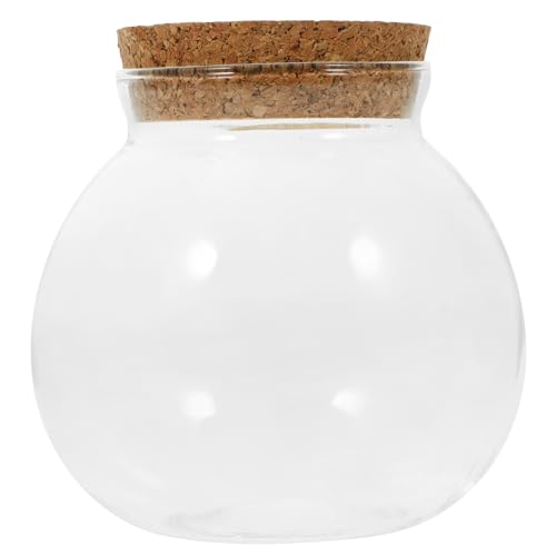 Kisangel Ökologische Flasche Blumenvase Glas Terrarium Glas für Wohnzimmer von Kisangel