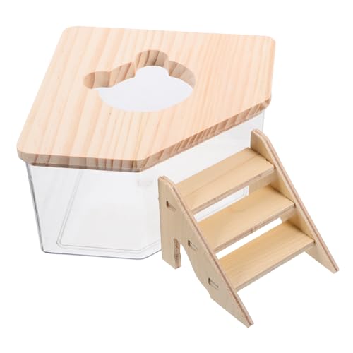 Kisangel Hamster Sandbadebox Mit Rampe 1 Set Sandbadebehälter Für Rennmäuse Und Hamster Ideales Zubehör Für Die Fellpflege Leicht Zu Reinigen Und Komfortabel Im Gebrauch von Kisangel