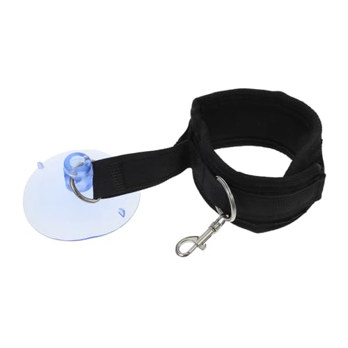 Kisangel Hundesalon Badehalter Tasse Leine Für Katzen Hunde Nagel Trimmen Haar Pflege Badewanne Befestigung Kisangel Hundesalon Badehalter Tasse Leine Für Katzen Hunde Nagel Trimmen Haar Pflege Badewanne Befestigung von Kisangel