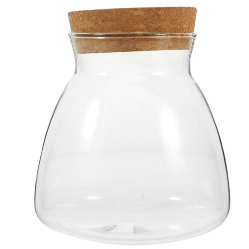 Kisangel Hydrokulturpflanzen Terrarium Klare Vasen Ökosystem Terrarium Terrarienglas Aus Glas Ökologische Glasflasche Glasterrarien Für Pflanzen Glasterrarium Kleines Glas Aquarium Eiche von Kisangel