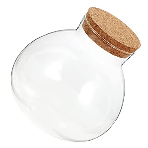 Kisangel Mikrolandschaft ökologische Flasche vitroleros para Mini Anlage Vase ökologische Glasflasche Moos Landschaft Container Pflanze schmücken Dekorationen Leere Flasche Eco-Flasche Kork von Kisangel