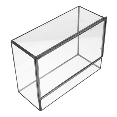 Kisangel Kasten Glas-landschaftstank Dekorativer Glasbehälter Terrarienmoos Einfaches Glasterrarium Tischschmuck Mikro-landschafts-DIY-Halter Mikro-landschaftsbehälter DIY Glasbehälter Zinn von Kisangel