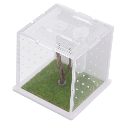 Kisangel Kasten Springspinnen-zuchtbox Zuchtbehälter Insektenbehälter Lebensraumkäfig Für Insekten Spinnen-Terrarium Fütterung Fall Reptilfall Insektenlebensraum Fall Acryl von Kisangel