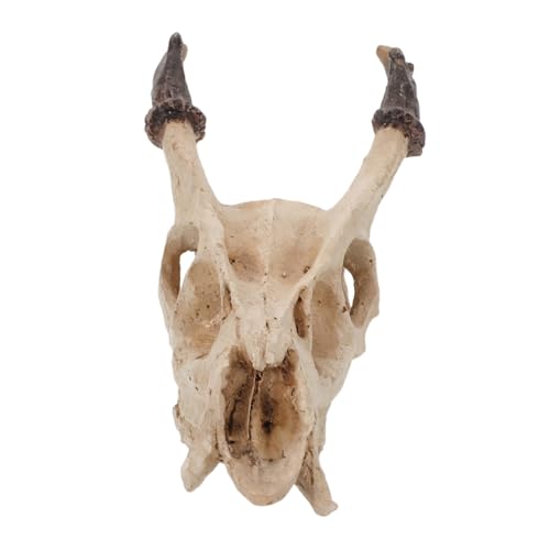 Kisangel Lebensechtes Reptilien-versteck aus Resin Muntjac-schädel Höhle für Schildkröten Schlangen Frösche Vielseitiges Terrarium-dekor Sicher für Reptilien und Aquarium Zubehör Kisangel Lebensechtes Reptilien-versteck aus Resin Muntjac-schädel Höhle für Schildkröten Schlangen Frösche Vielseitiges Terrarium-dekor Sicher für Reptilien und Aquarium Zubehör von Kisangel