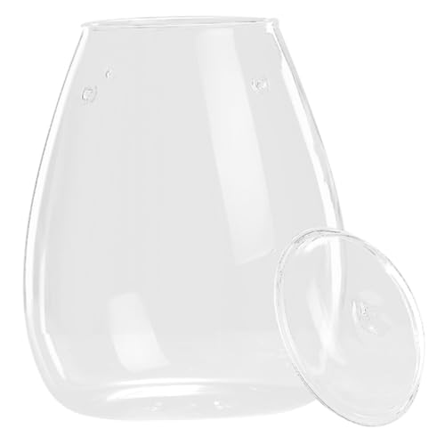 Kisangel Moos-öko-Flasche Flasche Moospflanze Pflanzenbehälter Selber Machen Landschaftsbehälter Leeres Terrarium Mikro-landschaftspflanzerflasche Terrarienflasche Pflanzen Flasche Glas von Kisangel