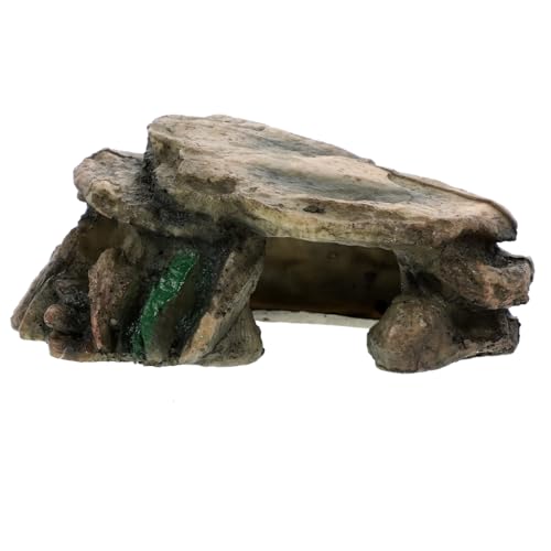 Kisangel Reptilien Kletterplattform aus Harz Lebensechtes Schildkröten Versteck Wasserdichtes Aquarium Terrarium Deko für Schildkröten Eidechsen Einsiedlerkrebse Authentisches Reptilien Kisangel Reptilien Kletterplattform aus Harz Lebensechtes Schildkröten Versteck Wasserdichtes Aquarium Terrarium Deko für Schildkröten Eidechsen Einsiedlerkrebse Authentisches Reptilien von Kisangel