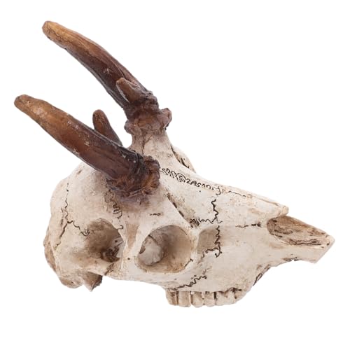 Kisangel Resin Hirsch Skull Versteck Für Reptilien Aquarium Dekoration Höhle Für Leopardgeckos Eidechsen Und Andere Terrarientiere Robustes Terrarium Zubehör Mittlere Größe von Kisangel