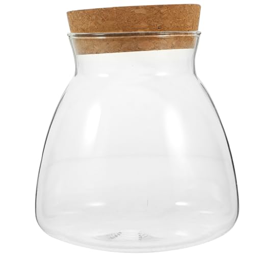 Kisangel wohnzimmerdeko raumdeko schöafzimmerdeko Mikrolandschaft Terrarium Hydroponische Pflanzenbehälter tropisch Blase Algen Anlage Bausatz Wasser kleines Aquarium Terrarienpflanzen Glas von Kisangel