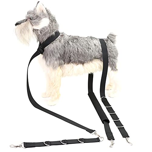 Kisbeibi 3 Stück Pet Dog Grooming Harness Strap, Adjustable Bathing Restraint Loop Noose Nylon Dog Grooming Belly Strap Leash Dog Holder Noose Loop for Cats Dogs Hair Cutting Washing Grooming(Black) von Kisbeibi