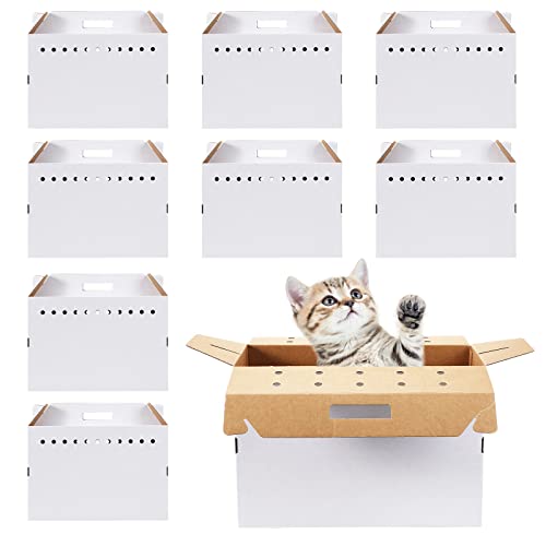 Kisston 12 Stück Transportbox für Haustiere, Katzen, Hamster, Meerschweinchen, Kaninchen, Vogel, 17,5 x 8,5 x 15 Zoll von Kisston