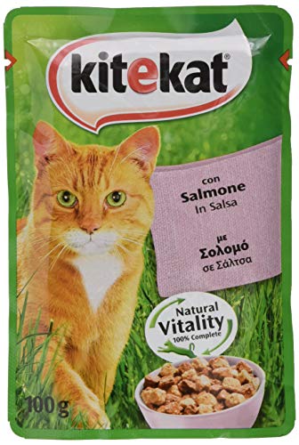 Kitekat Bocconicini mit Cibo Lachs Umido per Gatti Confezione 48 Buste Da 100 g von Kitekat