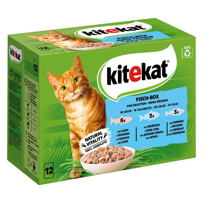 Kitekat Frischebeutel 48 x 85 g - Fisch Box in Gelee von Kitekat