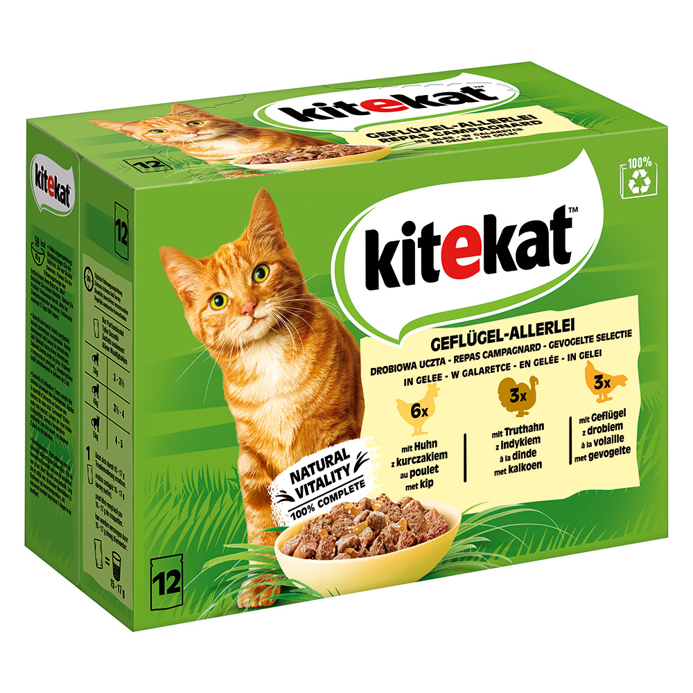 Kitekat Frischebeutel 48 x 85 g - Geflügel-Allerlei in Gelee von Kitekat