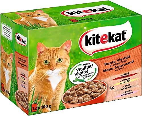 Kitekat Katzenfutter Bunte Vierfalt in Sauce, 100 g (12er Pack) von Kitekat