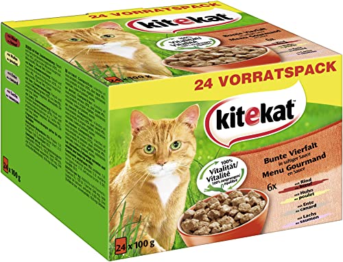 Kitekat Katzenfutter Bunte Vierfalt in Soße, 24 x 100 g von Kitekat