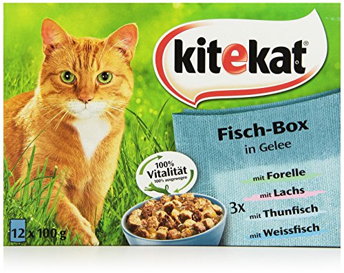 Kitekat Katzenfutter Fisch-Box in Gelee, 12 Stück (12 x 100 g) von Kitekat