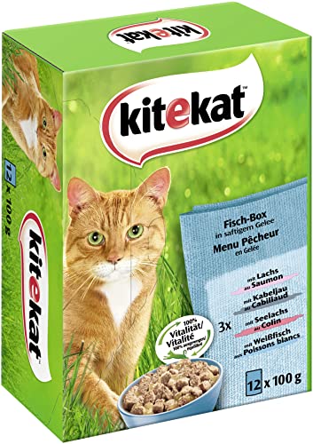 Kitekat Multipack 12x100g Fisch-Box in Gelee, 1er Pack (1 x 1.2 kg) von Kitekat