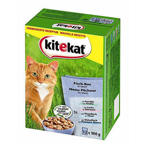 Kitekat | Multipack Fisch-Box in Sauce | 4 x 12 x 100 g von Kitekat