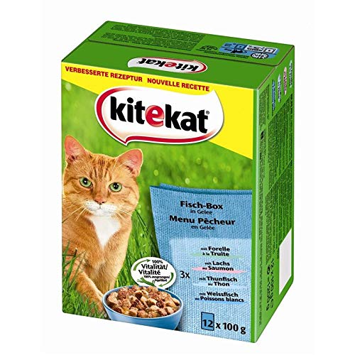 Kitekat P.B. M.P. Fisch - Box in Gelee 12 x 100g von Kitekat