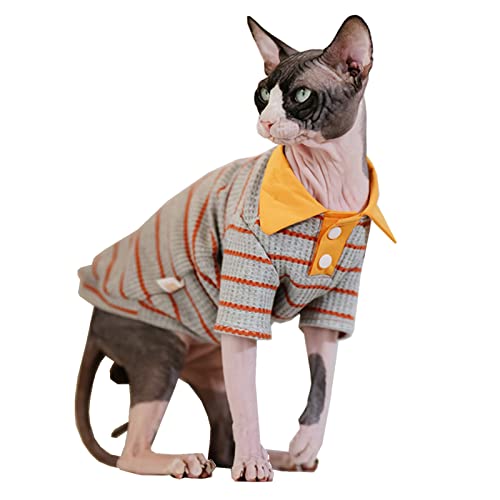 Sphynx Katzenhemd aus Baumwolle, haarlos, Kätzchen-Polo-T-Shirt mit Ärmeln, Pullover, Katzen-Pyjama für Sphynx Cornish Rex, Devon Rex, Peterbald (Grau Orange Polo, Größe XXL) von Kitipcoo