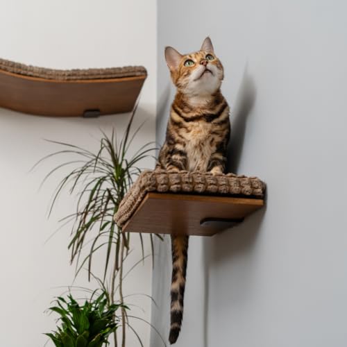 Kitsune Garden Katzentreppe Katzenwand Möbel Wandmontiertes Regal Katzenwandregal Katzenregale Katzenbett Katzenregal Katzentreppe für Wand Braun (Step) von Kitsune Garden