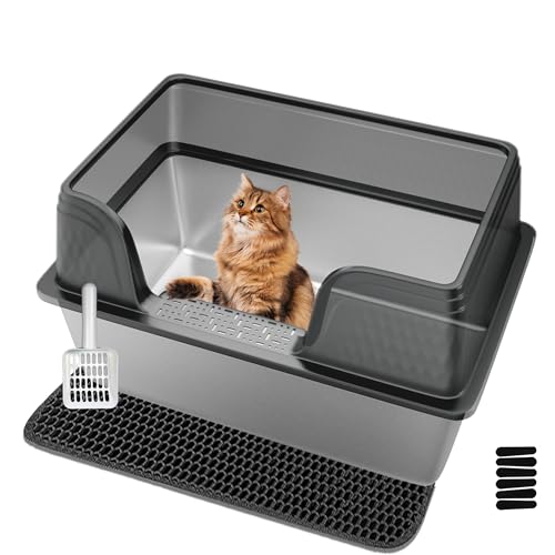 Kittenhood XL Extra große Stahltoilette 35,1 cm H transparent schwarz von Kittenhood