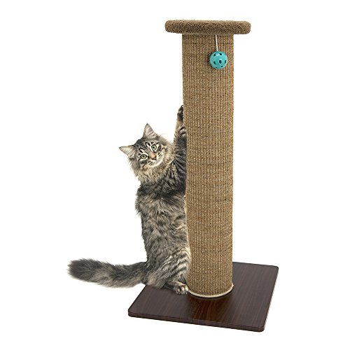 Kitty City Kratzbaum für Katzen, gewebt, Sisal, 81,3 cm, Modellnummer: CM-0262-CS01 von Kitty City