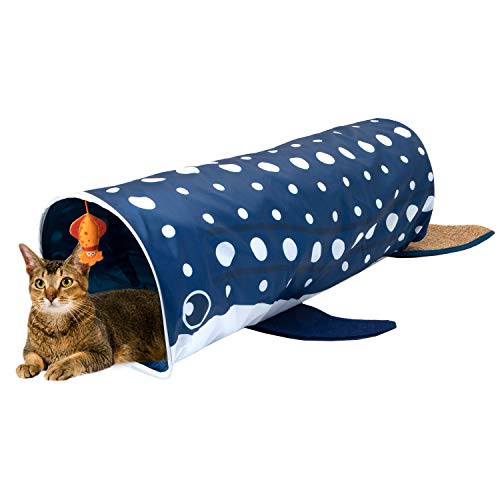 Kitty City Walhai Tunnel Blau von Kitty City