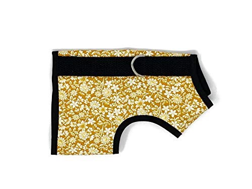 Kitty Holster Katzengeschirr, Größe M/L, blühendes Gold von Kitty Holster