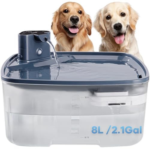 Kittyspout Trinkbrunnen für Hunde Kabellos,8L/270 oz Grosse Hundebrunnen/Katzenbrunnen mit Bewegungsmelder,Hunde Trinkbrunnen Kabellos mit Akku 5000mAh,mit Leiser Pumpe und AktivkohlefilterTrans von Kittyspout