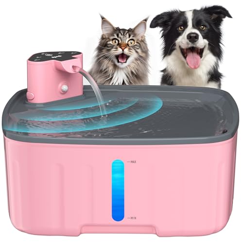 Trinkbrunnen für Hunde Kabellos,Kittyspout 8L/ 270 oz Grosse Hundebrunnen/Katzenbrunnen mit Bewegungsmelder, Hunde Trinkbrunnen Kabellos mit Akku 5000mAh, mit Leiser Pumpe und Aktivkohlefilter von Kittyspout