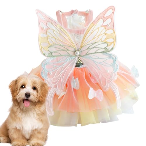 Kixolazr Regenbogen-Hundekleid, Katzen-Prinzessinnenkleid,Regenbogen-Schmetterlingskleidung für Katzen und kleine Hunde - Buntes, wunderschönes Schmetterlingsflügel-Design, für den Alltag, von Kixolazr