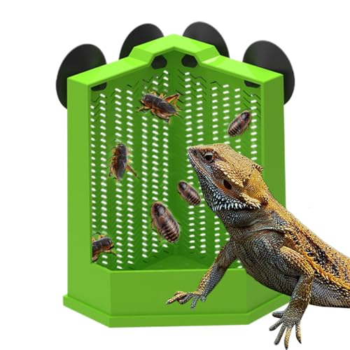 Kixolazr Reptilien-Futterschale | Reptilien-Futternäpfe Reptilienschale Futterspender - Eck-Futterspender Gecko Futterschale, Futternapf Saugnapf, Reptilienschüssel Terrarienschalen Anti-Escape von Kixolazr