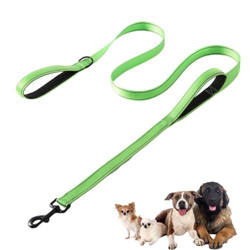 Reflektierende Nylon Hundeleine, Hundeleine mit 2 handschonende gepolsterte Handschlaufen, Weich Wasserdicht Hundeleine für Mittelgroße Große Hunde(Grün 2.0 * 150cm) von KkvoGmle